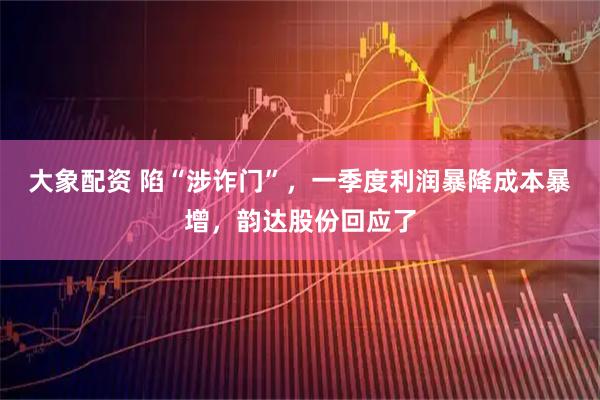 大象配资 陷“涉诈门”，一季度利润暴降成本暴增，韵达股份回应了