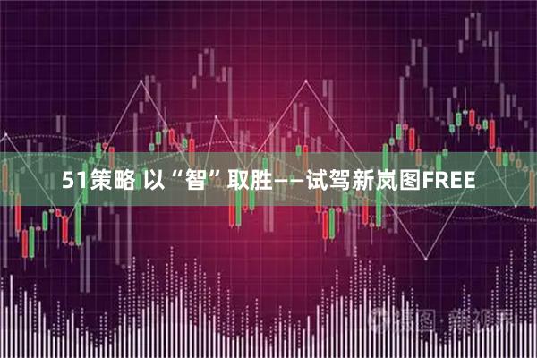 51策略 以“智”取胜——试驾新岚图FREE