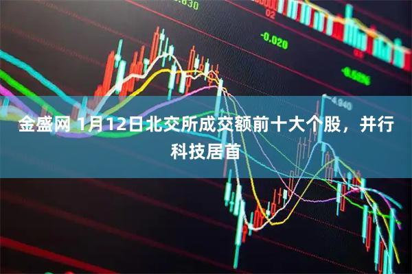 金盛网 1月12日北交所成交额前十大个股，并行科技居首