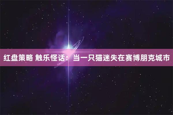 红盘策略 触乐怪话：当一只猫迷失在赛博朋克城市